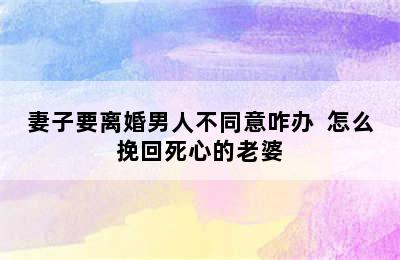 妻子要离婚男人不同意咋办  怎么挽回死心的老婆